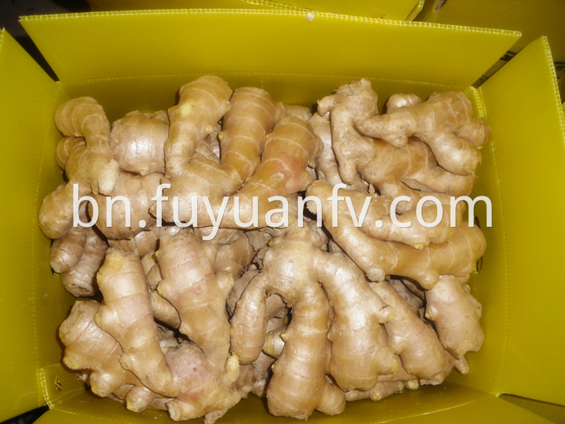 anqiu Air dried ginger